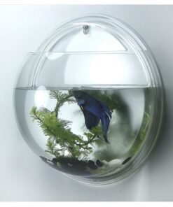 Alternative view of 16.5cm Wall Aquarium + Fish + Tree + Stone + Food + Light