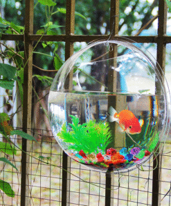 22.5cm Aquarium Wall + Fish + Tree + Stone + Food + Light