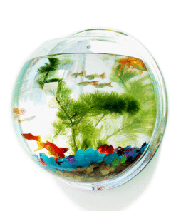 Alternative view of 22.5cm Aquarium Wall + Fish + Tree + Stone + Food + Light