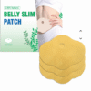 10Pcs Reusable Belly Slimming Patch