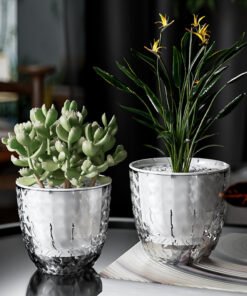 2Pcs Hydroponics Self Watering Plastic Plant Pot With Money Plant