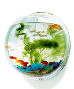 Alternative view of 23cm Wall Aquarium + Fish + Tree + Stone + Food + Light