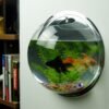 23cm Wall Aquarium + Fish + Tree + Stone + Food + Light