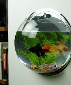 23cm Wall Aquarium + Fish + Tree + Stone + Food + Light