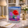 Mini Aquarium with LED Light + Fish + Stone + Food