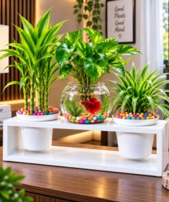 Wooden Box Mini Aquarium Set - Image 3