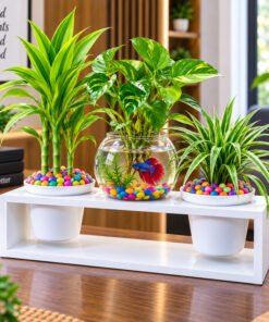 Wooden Box Mini Aquarium Set - Image 5