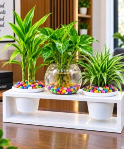 Wooden Box Mini Aquarium Set - Image 6